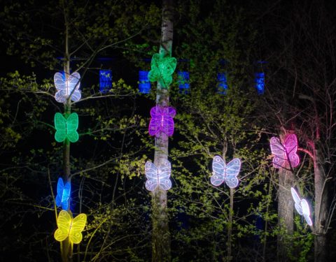 Schmetterlingsreigen von Frank Wunderatsch, KRONACHER PARKLEUCHTEN 2022, Foto: Falk Bätz